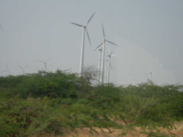 rezeedland wind turbine